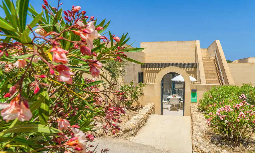 2 Værelses Feriehuse Mellieha Holiday Centre Malta Folkeferie 2025 (20)