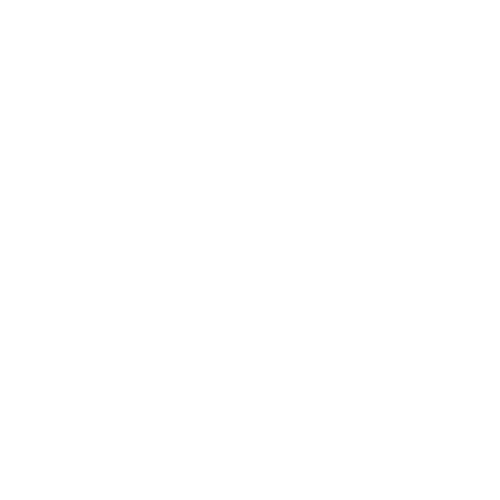 folkeferiedk-instagram-ikon-hvid-footer-2